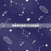 家里养乌龟养几只比较吉利，家里养龟一般几只最吉利？