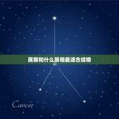 属猴和什么属相最适合结婚，92年属猴的，和哪年的最配
