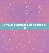 属虎2022年运势及运程 2022年大翻身的属相
