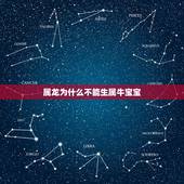 属龙为什么不能生属牛宝宝，今年牛宝宝是什么命