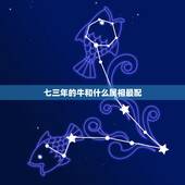 七三年的牛和什么属相最配，七三年出生的属牛男和那一年出生的属相相配