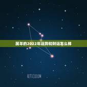 属羊的2022年运势和财运怎么样，属羊的2022年运势和财运怎么样