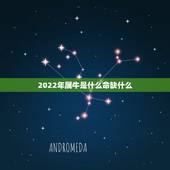 2022年属牛是什么命缺什么，85年属牛36岁有一灾