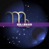 属狗人明年运势，2022 年属狗的财运好不好