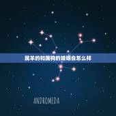 属羊的和属狗的婚姻会怎么样，男属羊女属狗婚姻合吗