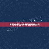 男属相鸡与女属相马的婚配如何，属马的男和属鸡的女婚姻怎么样