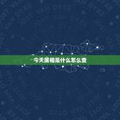 今天属相是什么怎么查，如何知道今天是什么生肖日