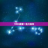 1995属猪一生大劫年，1995年属猪的命运如何