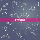 兔子11月运势，属兔人十一月二十七日运势