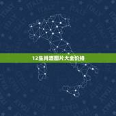 12生肖酒图片大全价格，十二生肖茅台酒的价格品种有哪些？