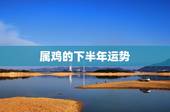 属鸡的下半年运势，1969年2021年属鸡人的全年运势