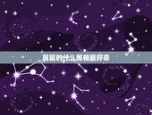 属鼠的什么属相最好命，属牛的人命运好不好？