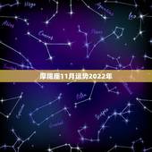 摩羯座11月运势2022年，摩羯座2014年11月运势 王小亚