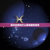 属羊的男和什么属相最配相克，属羊男更佳婚配属相