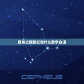 姐妹之间发红包什么数字合适，学业有成发什么红包数字合适