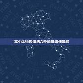高中生物佝偻病几种婚配遗传图解，高中生物常见遗传病有哪些