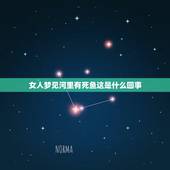 女人梦见河里有死鱼这是什么回事，梦见鱼死了是什么意思