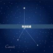 属鸡的明天运势和财运(介绍财运旺盛运势平稳)