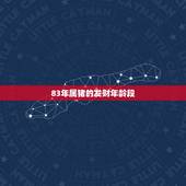 83年属猪的发财年龄段 83年属猪虎年下半年财运