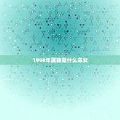 1998年属猪是什么命女，属虎1998年的男孩命运