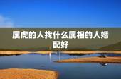 属虎的人找什么属相的人婚配好，属虎的女人和什么属相最配