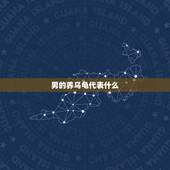 男的养乌龟代表什么，养乌龟有什么说法 有什么讲究？