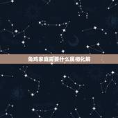 兔鸡家庭需要什么属相化解，属兔的忌什么属相