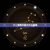 十二生肖中最大什么属相，十二生肖谁最大