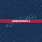 与鼠相生的生肖是什么，生肖鼠和什么生肖相冲