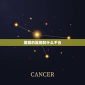 属猴的属相和什么不合，猴子与什么属相不合