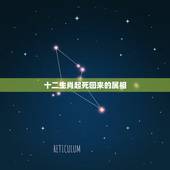 十二生肖起死回来的属相，起死回生是什么生肖？