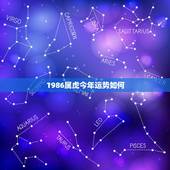 1986属虎今年运势如何，1986年属虎女狮子座今年运势如何？