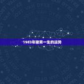 1983年猪男一生的运势，83年属猪一生运势及运程