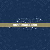 属狗今日打麻将最佳方位，2015年属狗每日麻将财神方位