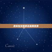 虎年生女孩多还是男孩多，虎年生儿子多还是女儿多？