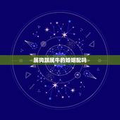 属狗跟属牛的婚姻配吗，女属狗和男属牛的相配吗