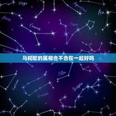 马和蛇的属相合不合在一起好吗，属相是马的人与属相是蛇的人在一起是不是不