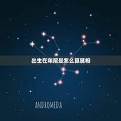 出生在年尾是怎么算属相，出生年、月、日、时的属相怎么计算的？具体要“日