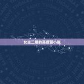 女主二婚的高质量小说，求一本女主二婚的小说名