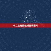 十二生肖最佳婚配表图片，属马的和什么属相最相配 12属相婚配表