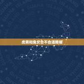 虎男和兔女合不合适婚姻，虎男和兔女婚姻能白头到老吗