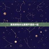 属龙的和什么属相不适合一起，属相婚配：男属兔和女属龙相配吗