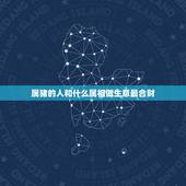 属猪的人和什么属相做生意最合财，属猪的和什么属相合作最好