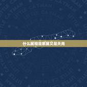 什么属相是家属又是天肖，十二生肖中，哪个生肖是天肖，哪个是地肖