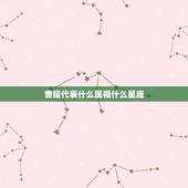 曹操代表什么属相什么星座，曹操到底是什么星座？请慎重回答。