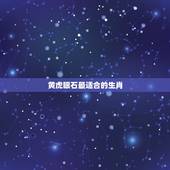 黄虎眼石最适合的生肖，虎眼石不适合哪些生肖