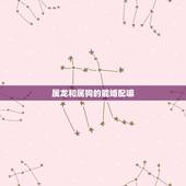 属龙和属狗的能婚配嘛，属龙和属狗相配吗