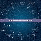 属虎和属蛇的婚配真的不好吗，属虎和属蛇的人真的不能在一起吗？