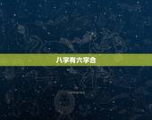 八字有六字合，合八字合了六个字是什么意思？