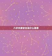 八字夫妻宫合是什么意思，八字夫妻宫遇合，与月令合，有的说合就是对方容易